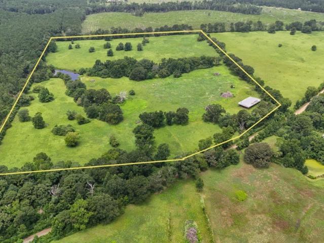 Land for sale in Village Mills, Texas