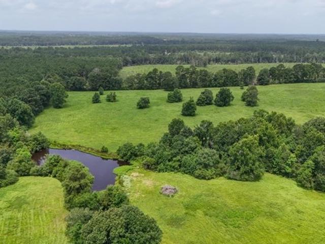 Land for sale in Village Mills, Texas