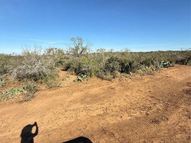 Land for sale in Jourdanton, Texas