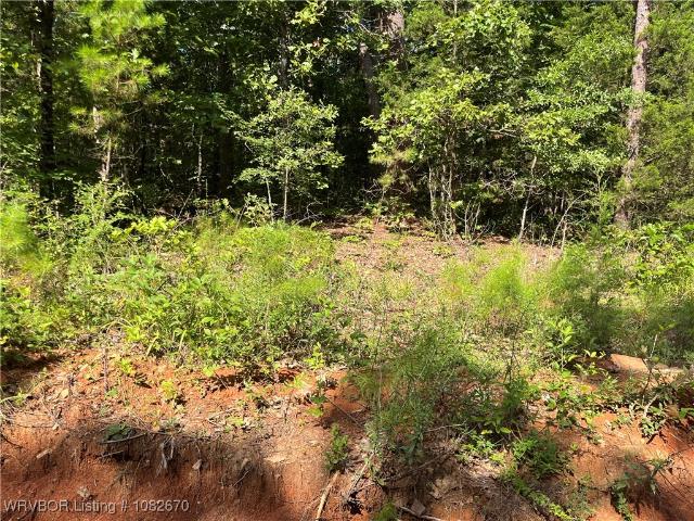 Land for sale in Wister, Oklahoma