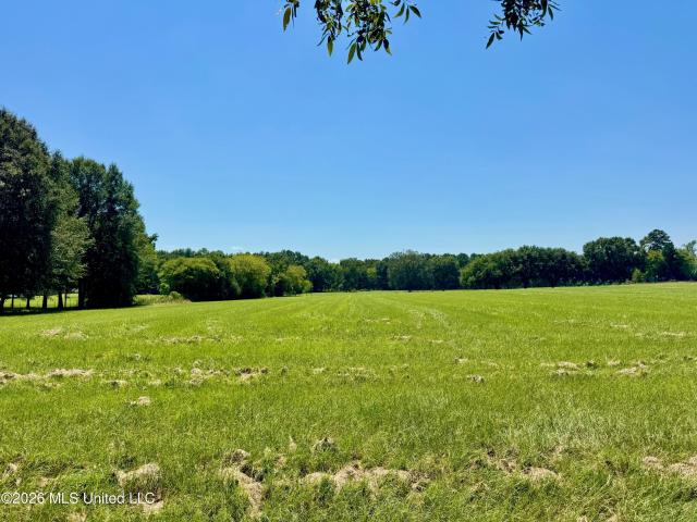 Land for sale in Canton, Mississippi