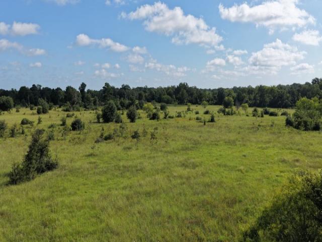 Land for sale in Midway, Madison County