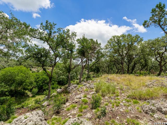 Land for sale in Spring Branch, Comal County