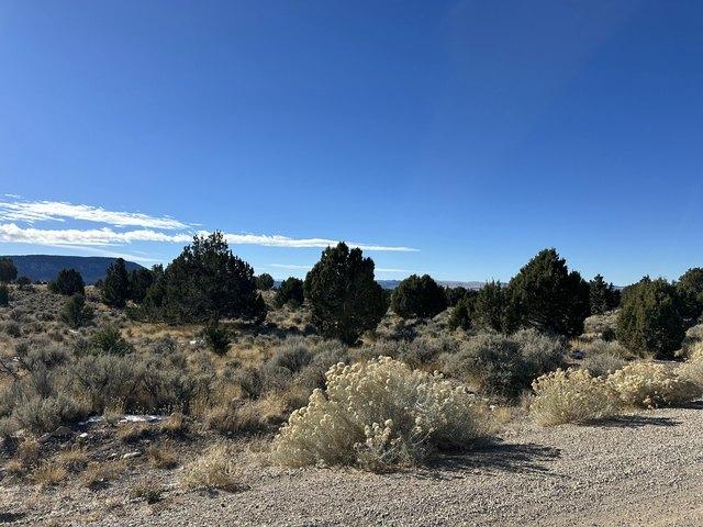 Land for sale in Beaver, Utah