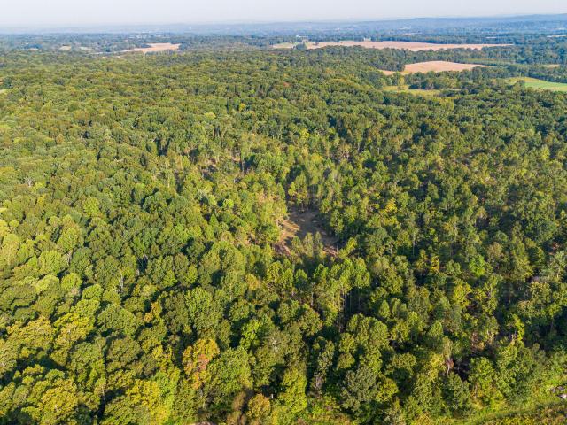 Land for sale in Irma, Marion