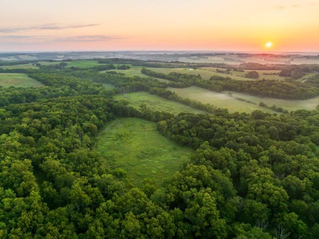 Farm for sale in Braymer, Missouri