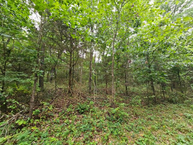 Land for sale in Neosho, Missouri