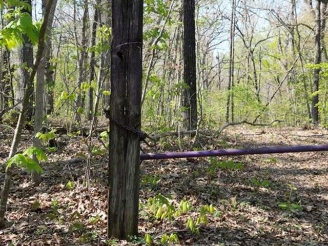 Land for sale in Anderson, Missouri