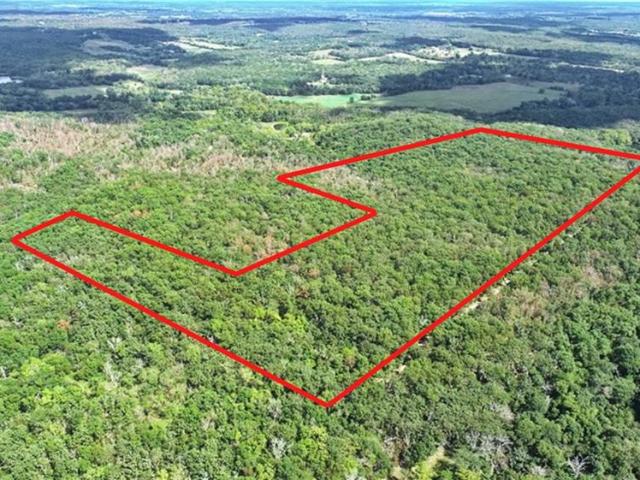 Land for sale in Collins, St. Clair County