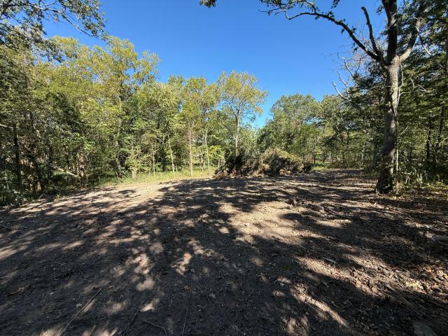 Land for sale in Wheatland, Hickory County