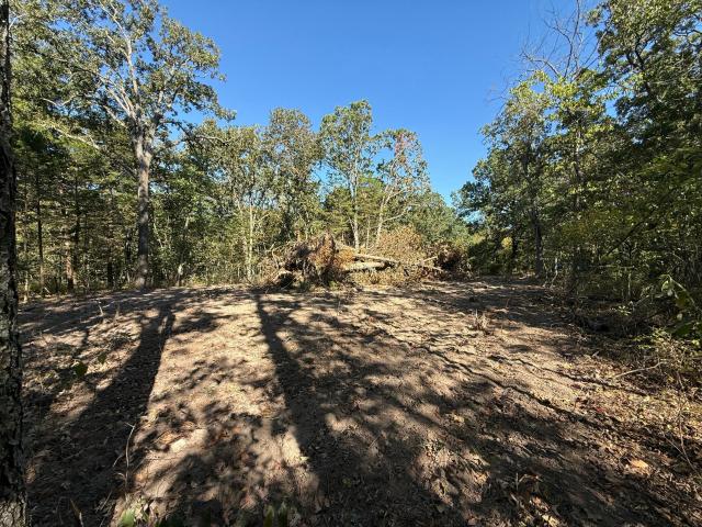 Land for sale in Wheatland, Hickory County
