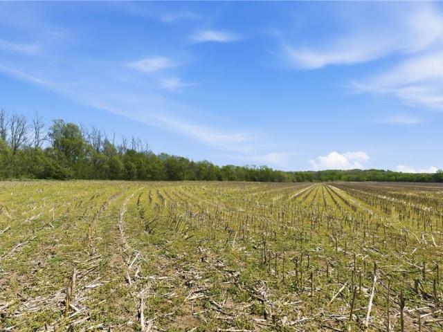 Farm for sale in Kansas