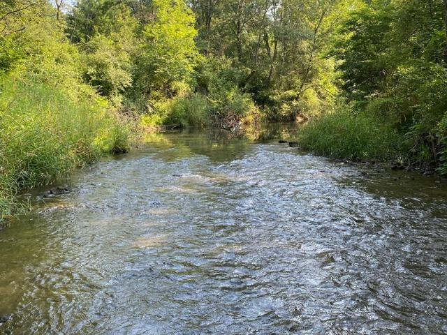 Land for sale in De Witt, Iowa