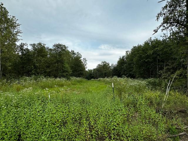 Land for sale in Fairfield, Illinois