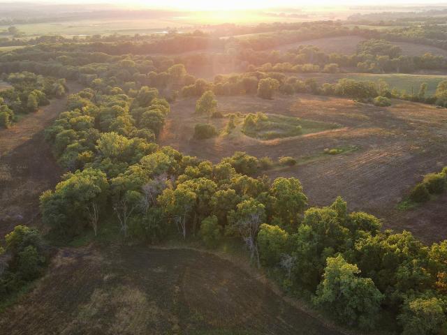 Farm for sale in Moulton, Iowa