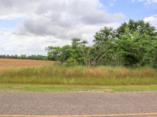 Land for sale in Taylor, Alabama