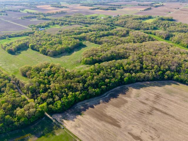 Farm for sale in Cowden, Illinois
