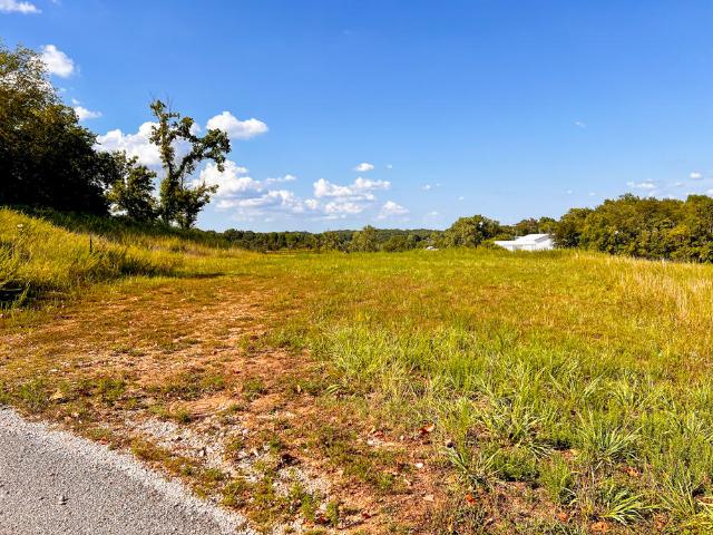 Land for sale in Granby, Missouri