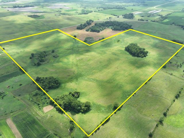Land for sale in Benson, Swift County
