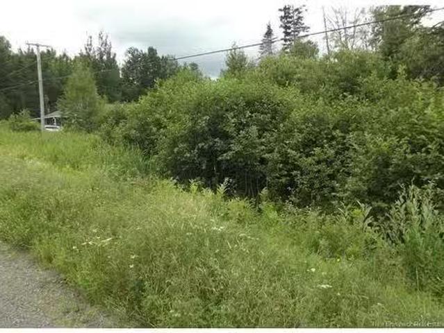 House for sale in Napadogan, New Brunswick