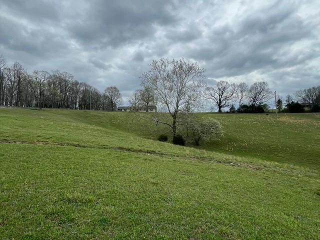 Land for sale in Cape Fair, Missouri