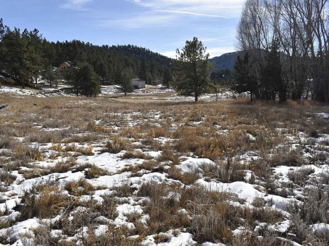 Property for sale in Guffey, Colorado