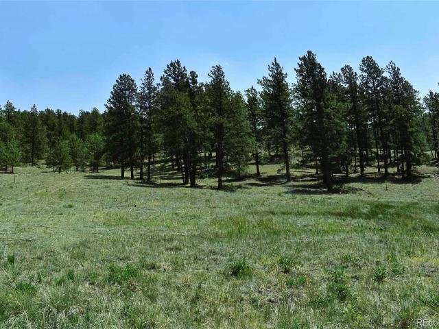 Land for sale in Guffey, Colorado