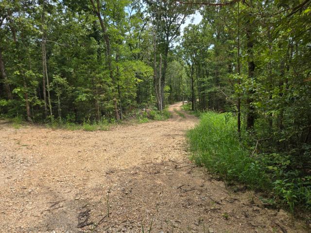 Land for sale in Norwood, Missouri