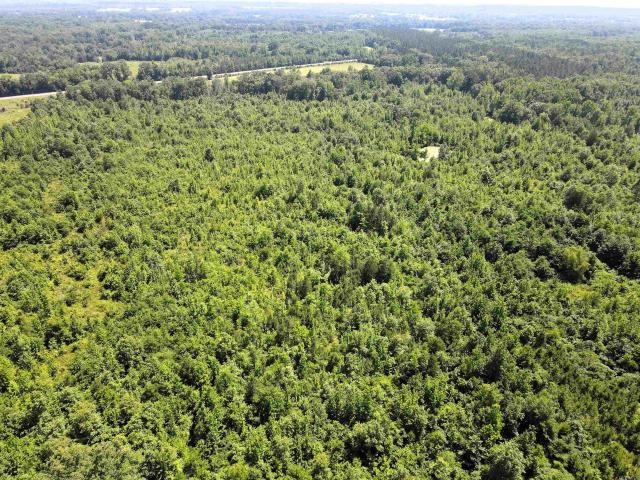 Land for sale in Ark