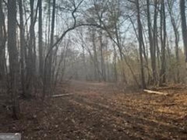 Land for sale in Upson, Georgia