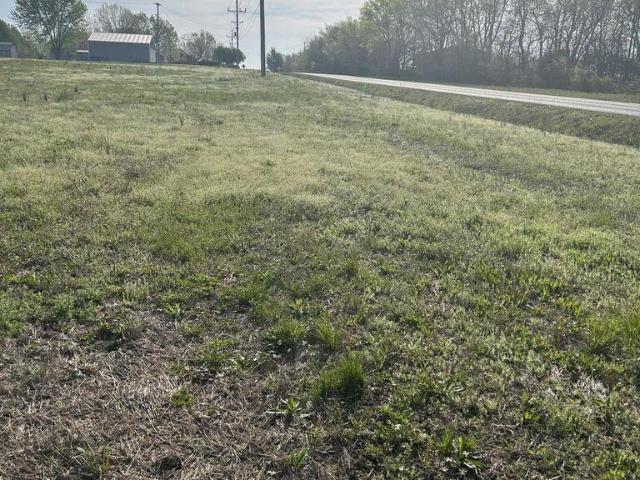Land for sale in Oronogo, Missouri