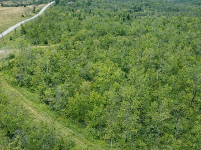 Land for sale in Thayer, Missouri