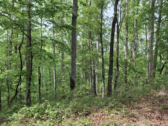 Land for sale in Trenton, South Carolina