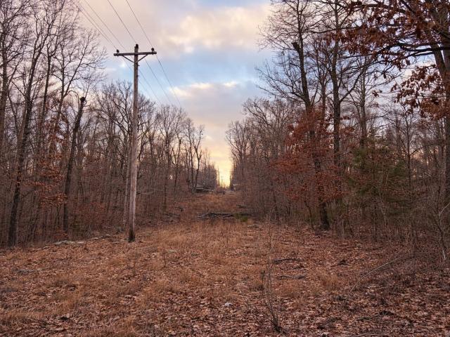 Land for sale in Ark