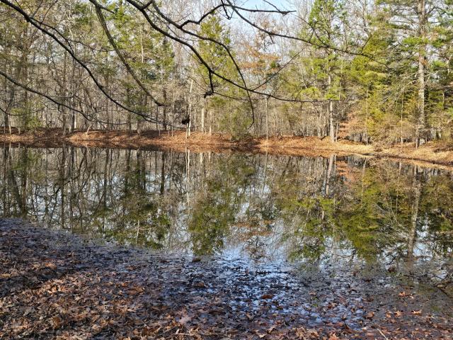 Land for sale in Missouri