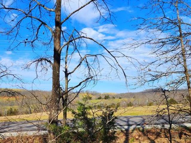Land for sale in Ava, Missouri
