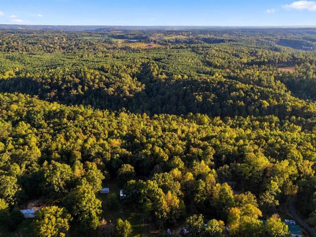 Land for sale in Dodge City, Cullman County