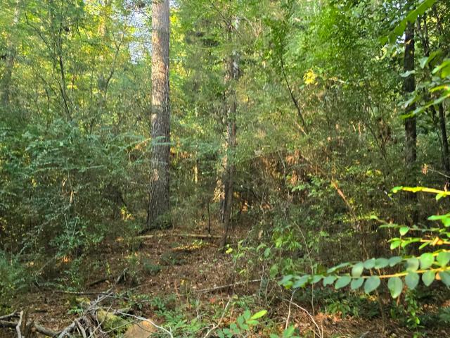 Land for sale in Roxie, Mississippi
