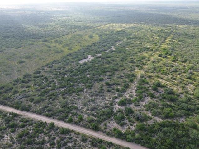 Land for sale in Zapata, Zapata County