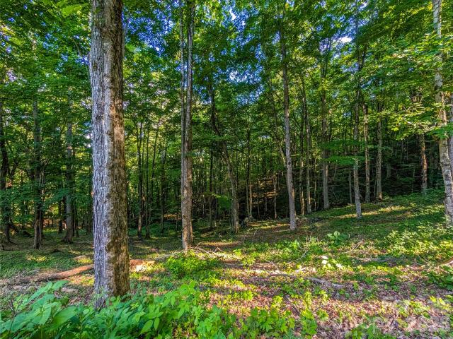 Land for sale in Bakersville, North Carolina