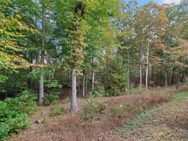 Land for sale in Waleska, Georgia