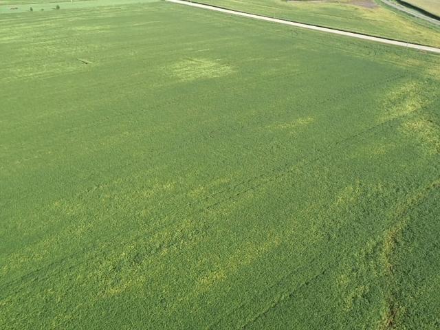 Farm for sale in Ladd, Bureau County