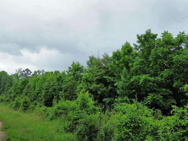 Land for sale in Ark