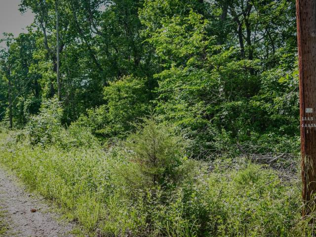 Land for sale in Stone, Missouri