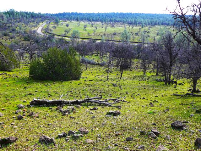 Land for sale in Shasta, California