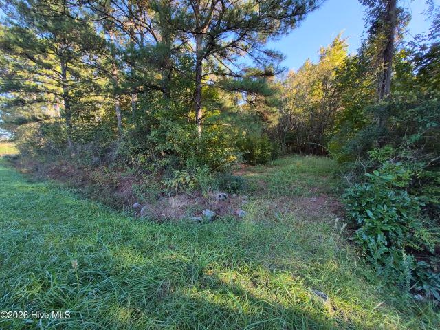 Land for sale in Ashton, Burgaw