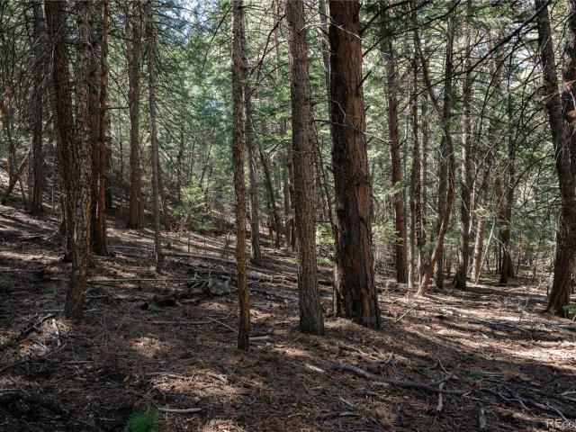 Land for sale in Cody Park, Golden