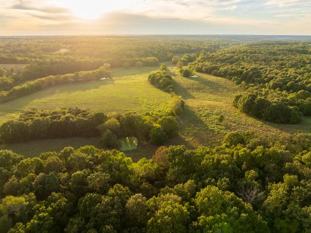 Land for sale in Anderson, McDonald County
