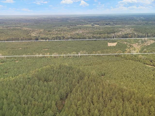 Land for sale in Cat Hole, Smoaks