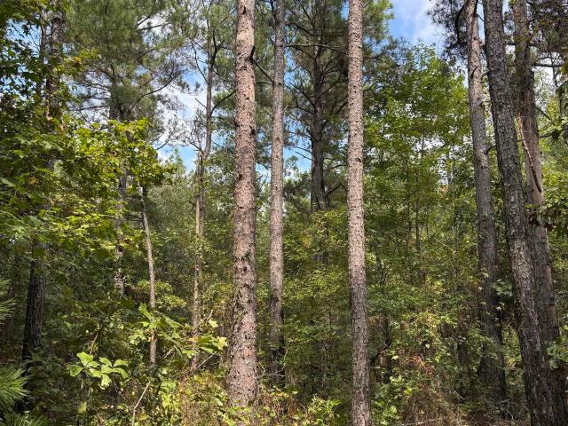 Land for sale in Ark